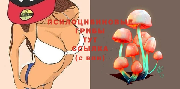 apvp Покров