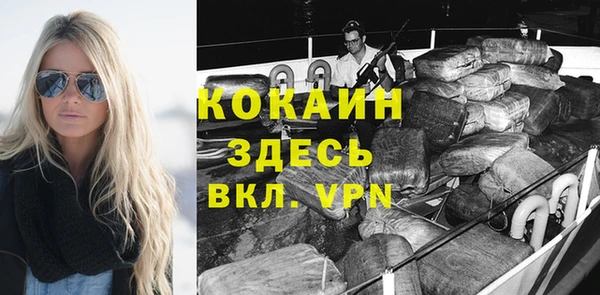 мдпв Галич