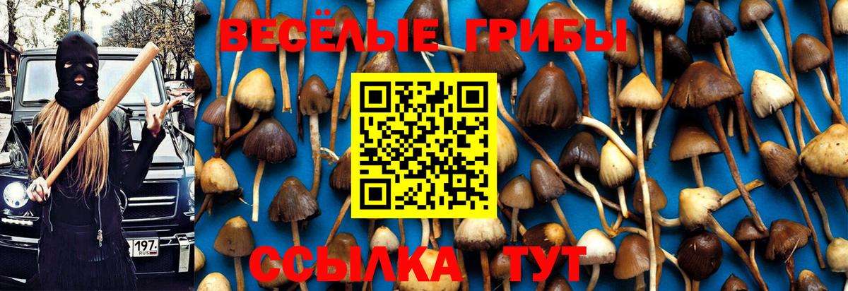 Альфа ПВП  Cocaine  Где продают наркотики?  МДМА  Мяу-Мяу  Гашиш  Советский  Каннабис  Вход с VPN  МЕФ 